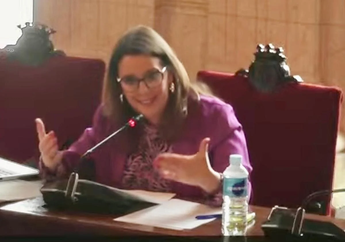 Paco de la Torre y el PP se retractan: apoyan ahora la regularización de inmigrantes con una tercera moción