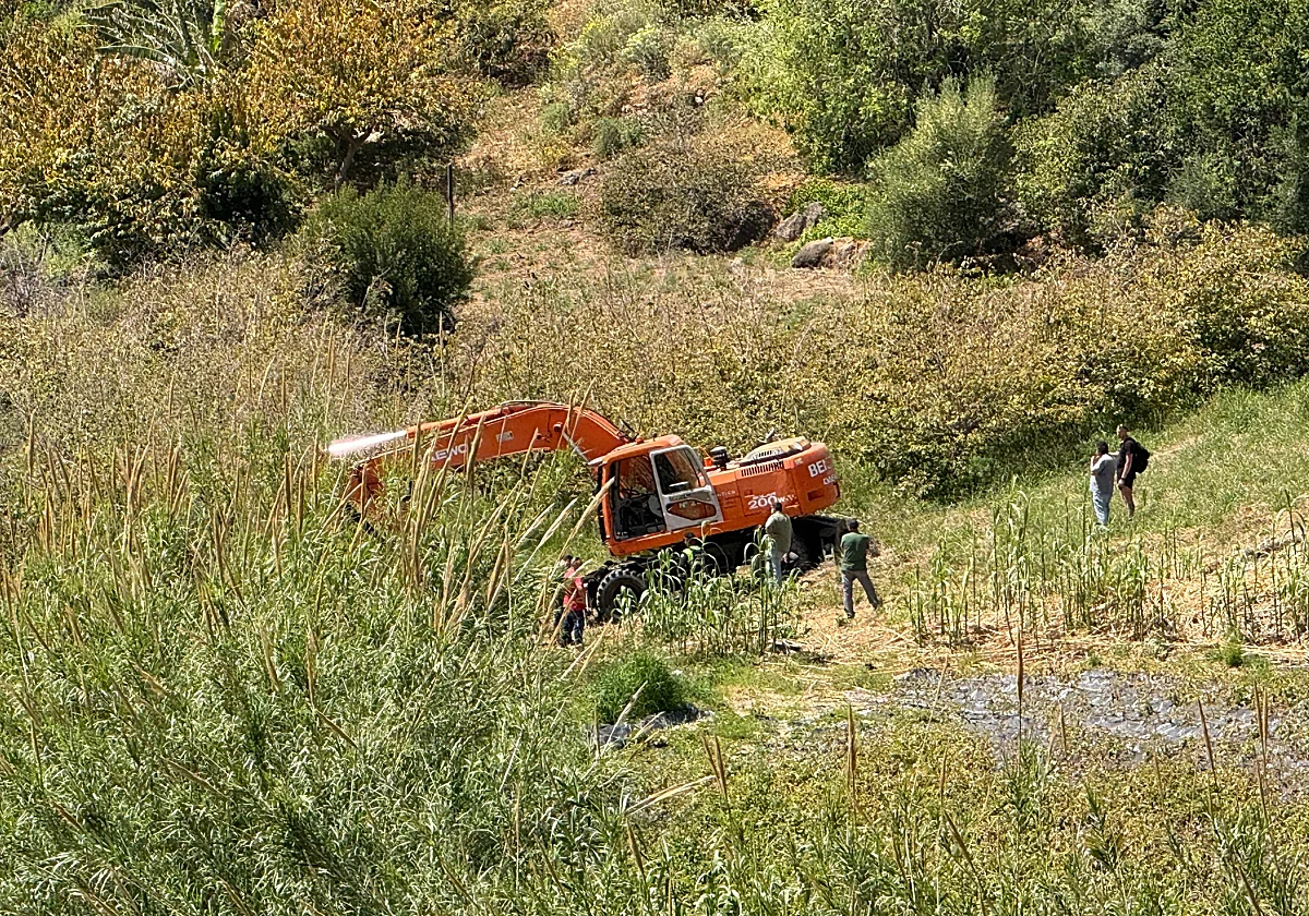 Dos detenidos en una protesta por la tala de árboles en la vega de Maro
