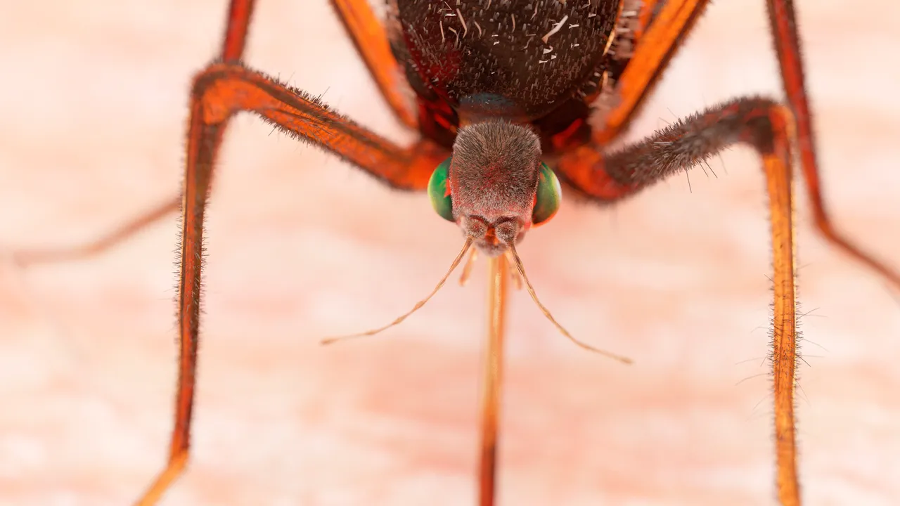 La malaria tuvo un papel clave en la distribución de los primeros humanos