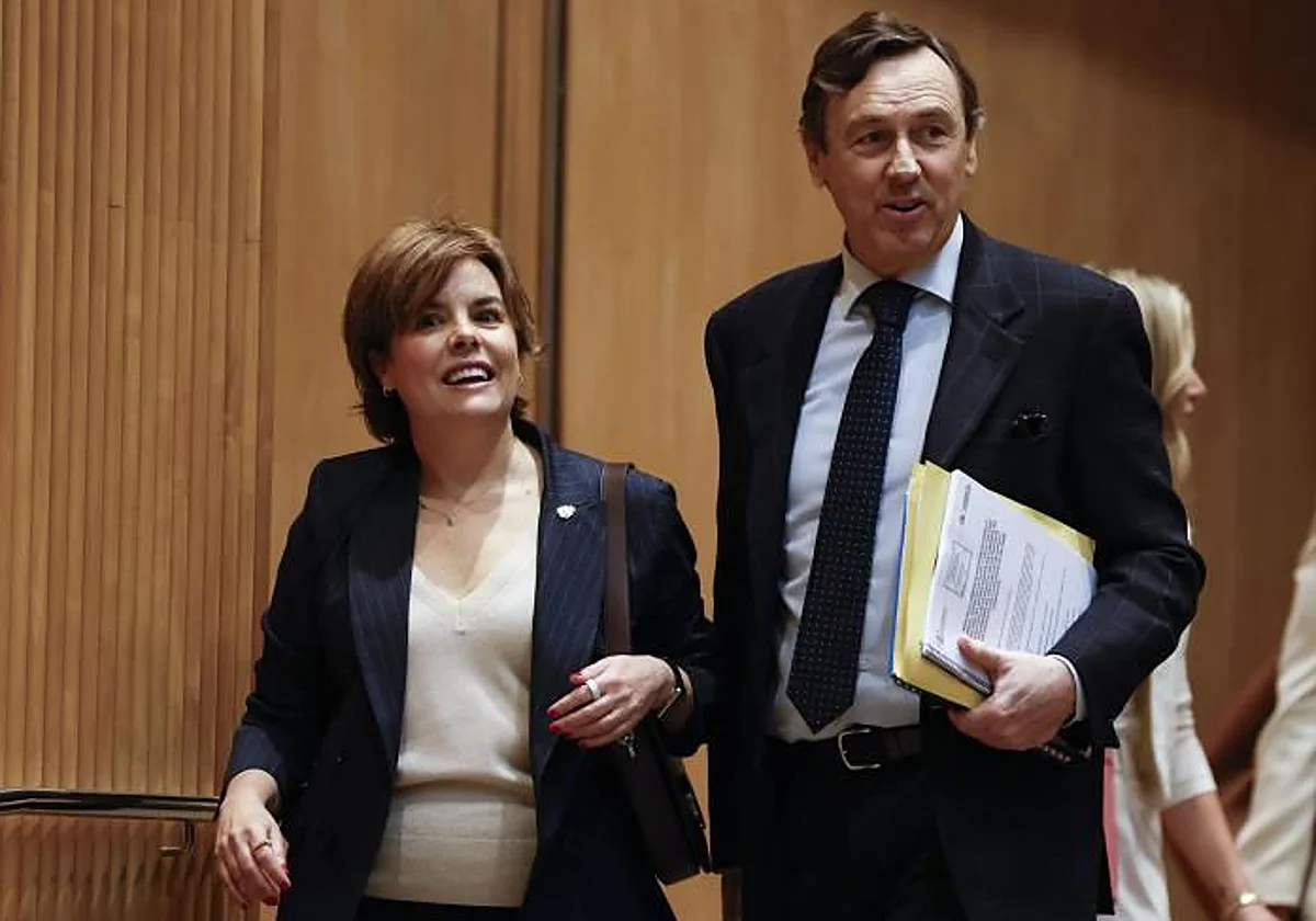 El hijo de Bárcenas y Soraya Sáenz de Santamaría marcan la cuarta semana del juicio a la 'Kitchen'