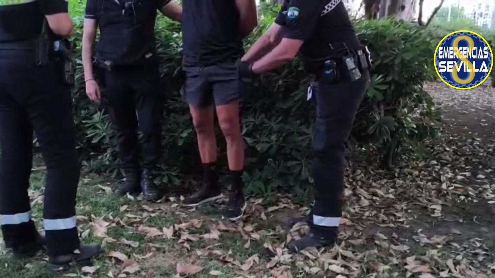 Detenido un hombre por exhibicionismo ante dos menores en el Parque de María Luisa durante el Domingo de Feria