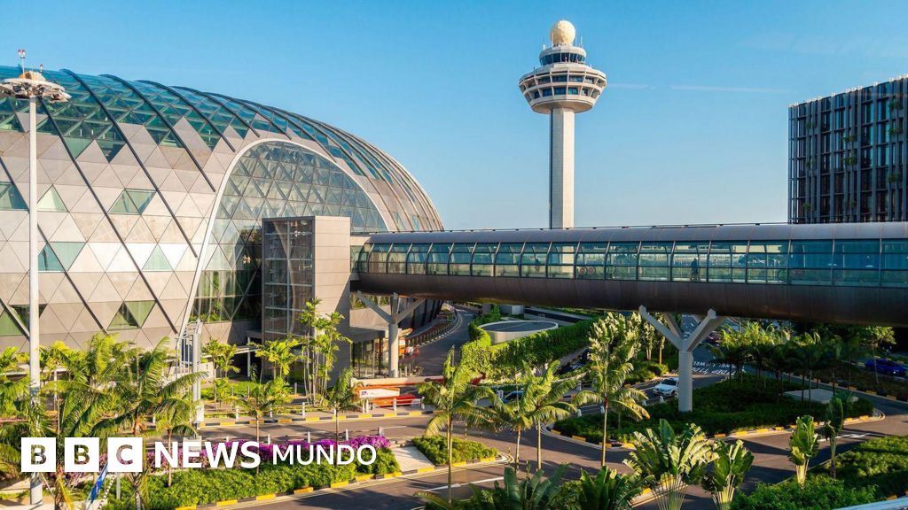 Cómo es el mejor aeropuerto del mundo (y cuál es el secreto para que sea un paraíso para los viajeros)