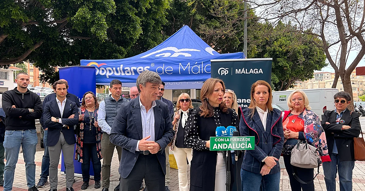 El PP denuncia que el «déficit» energético del Gobierno bloquea 25.000 viviendas en Málaga