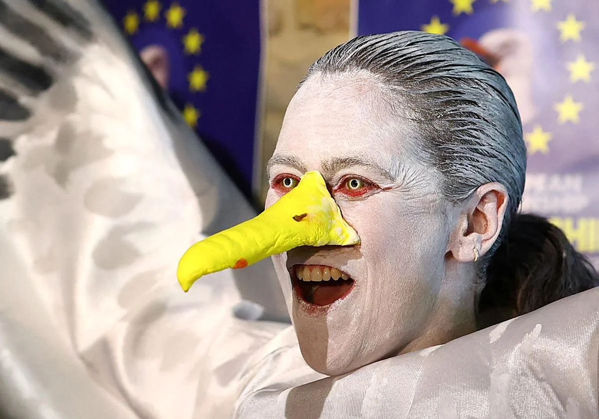 From Galicia to Belgium, becoming runner-up at the 6th European seagull screeching competition