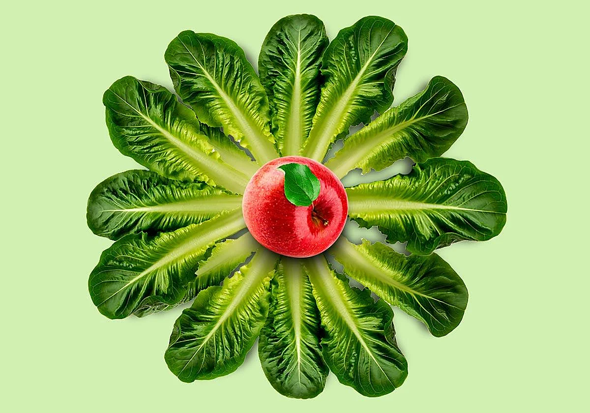 Las cinco dietas definitivas para vivir más