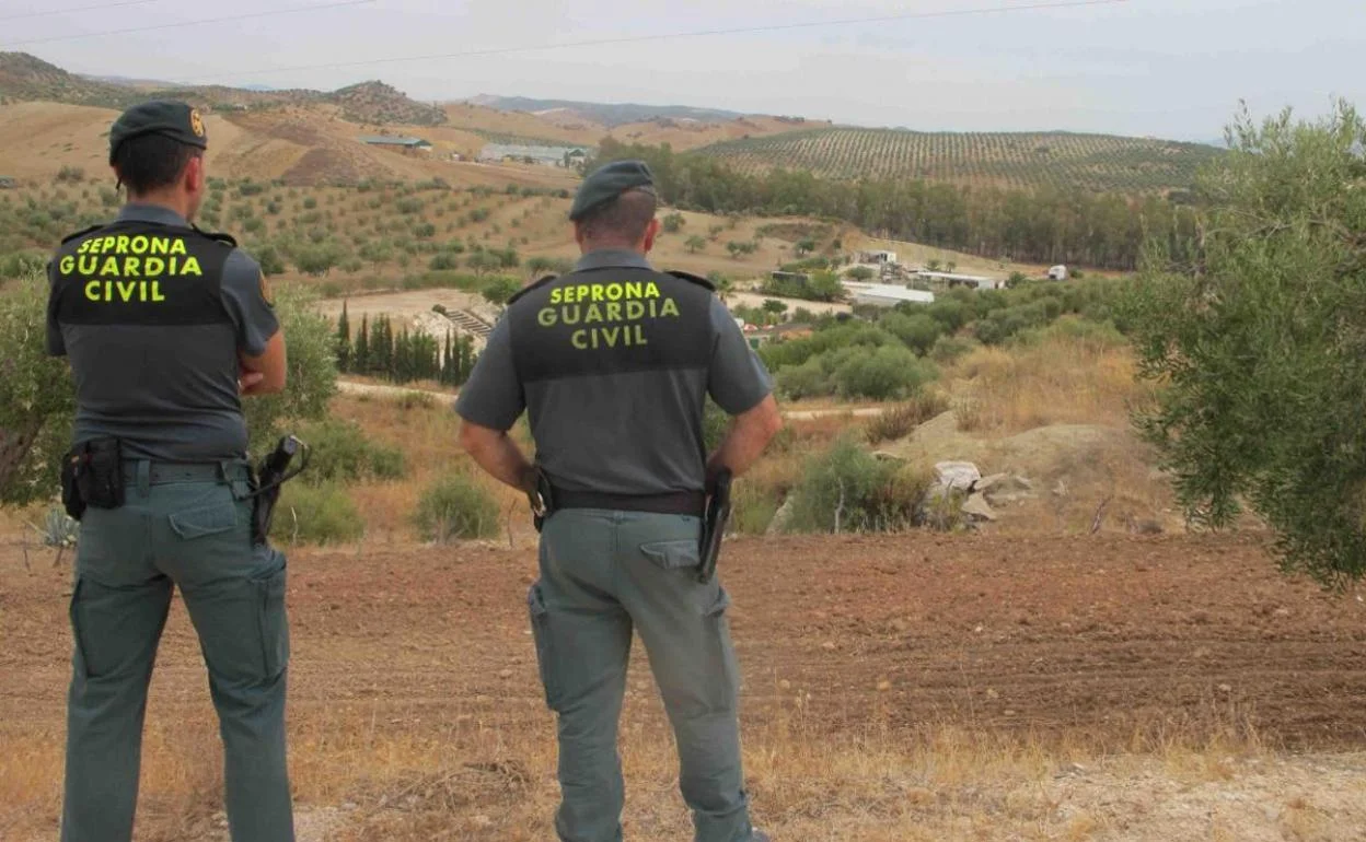 Investigada en Málaga por tener perros en malas condiciones, uno de ellos muerto en una bolsa