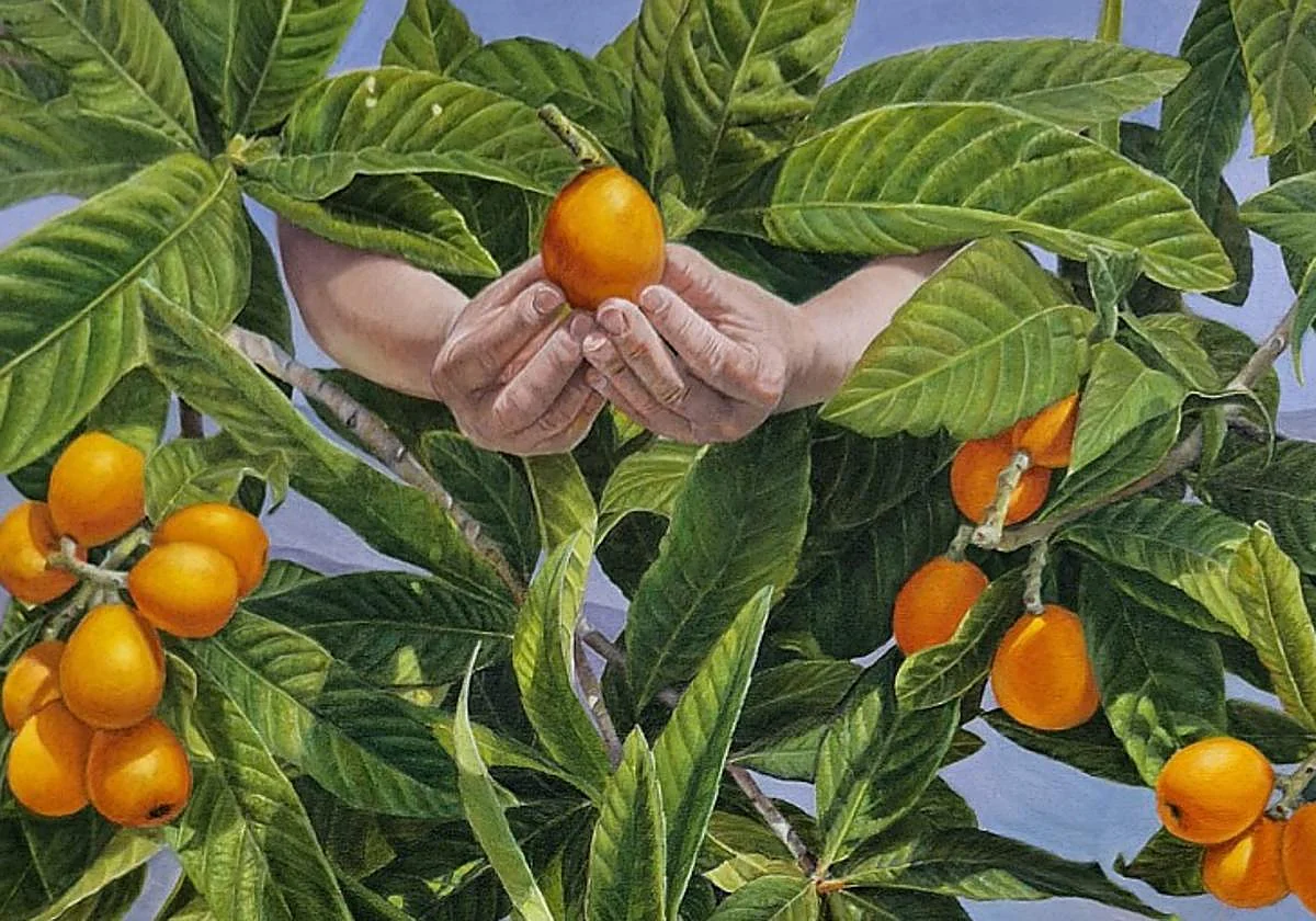 Head to Sayalonga in Malaga's Axarquía to celebrate the loquat harvest