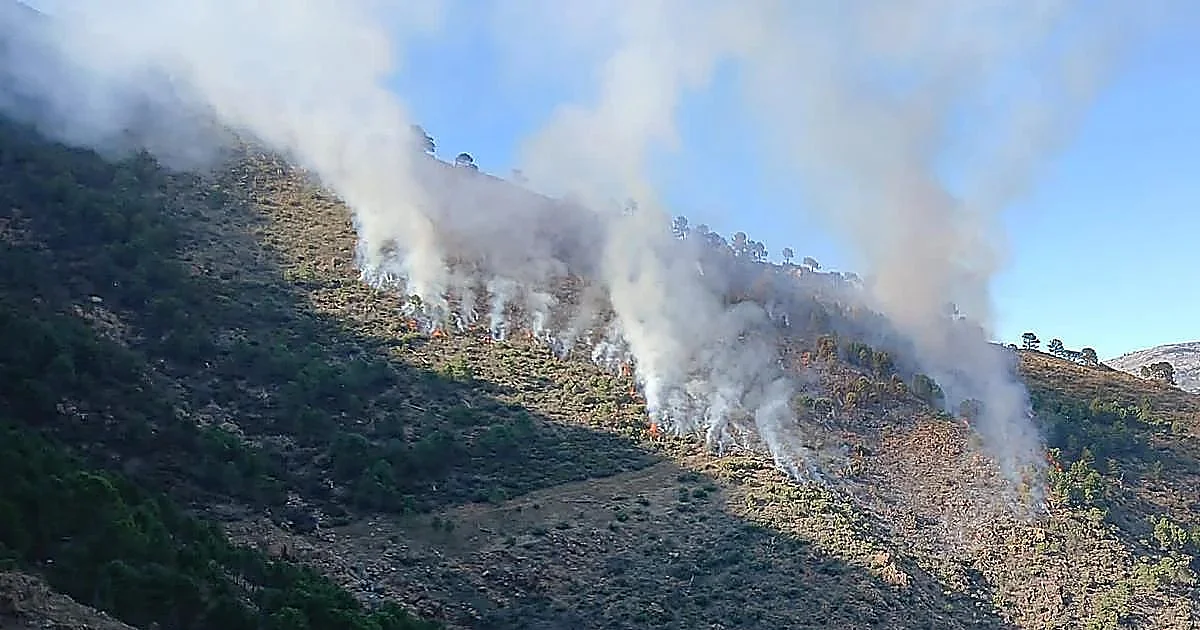 Marbella aborda el papel de la ciudadanía en la prevención de incendios forestales