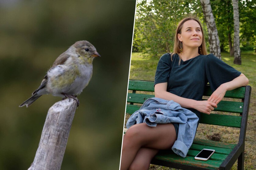 Unos científicos han descubierto algo extraño: a los pájaros de las ciudades les dan más miedo las mujeres que los hombres