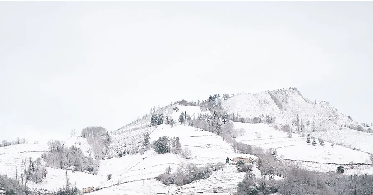 Funes desmitifica Ipurua: «No es un campo pequeño, pequeño es El Duende o La Mosca»
