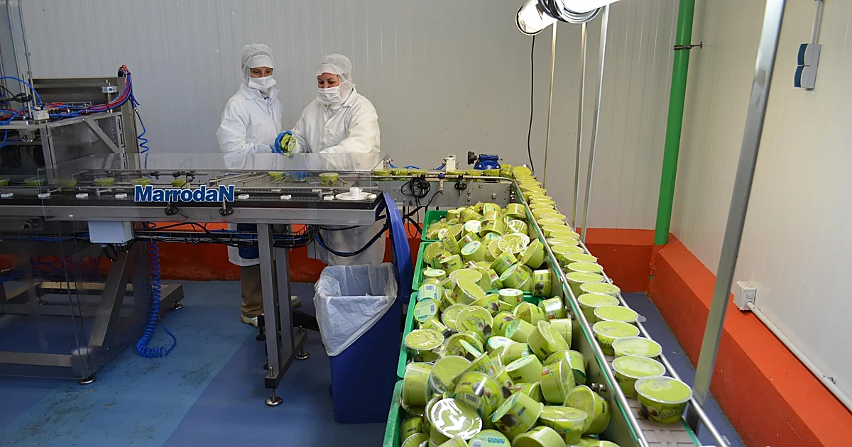 60 vacantes en la Axarquía para trabajar en el procesado de aguacate