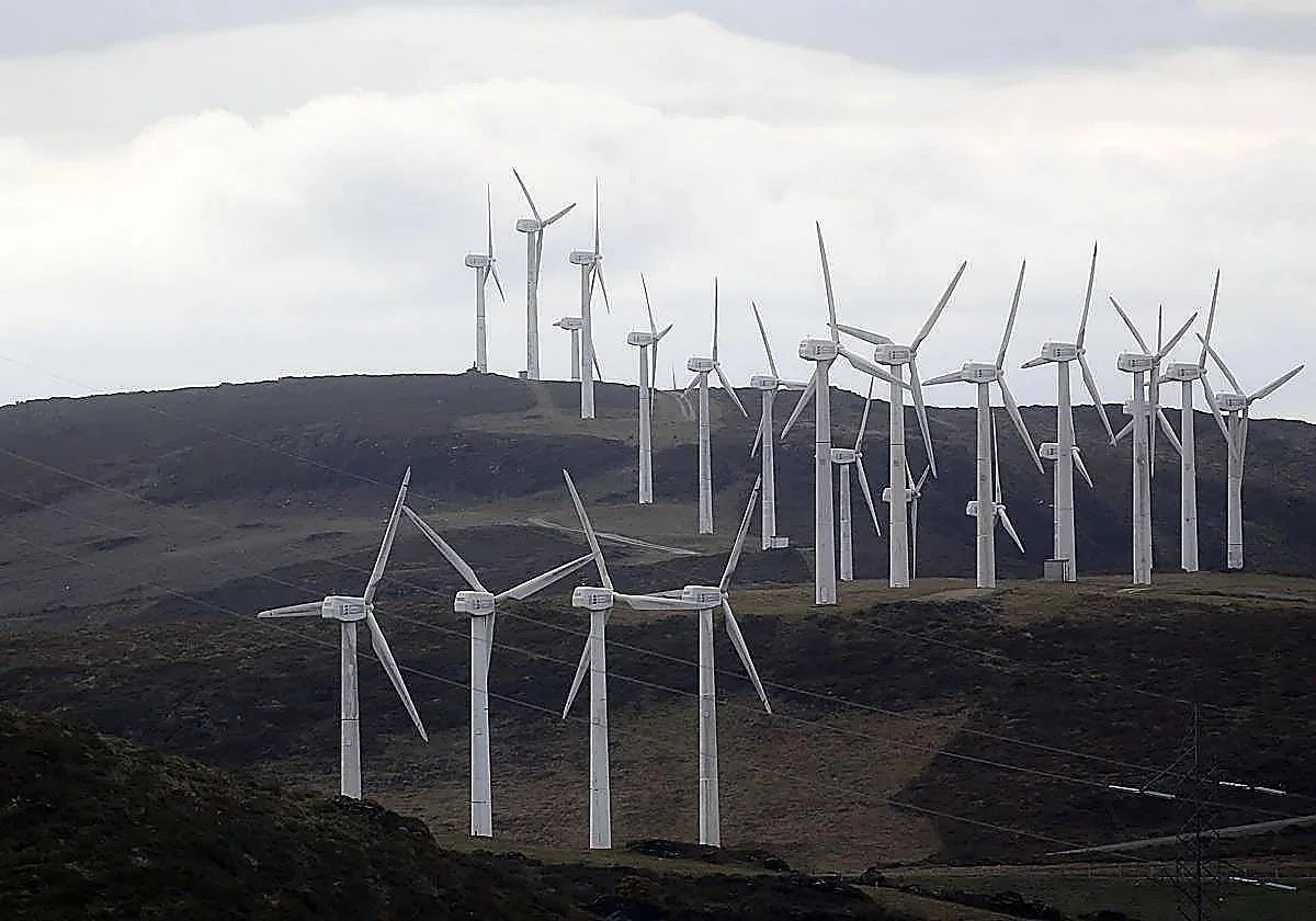 Wind power slashed 4.6 billion euros off electricity bills in Spain last year claim