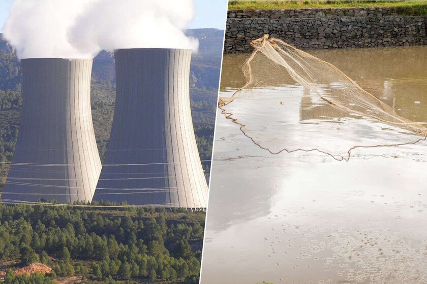 China está en su primavera nuclear y necesita uranio a toneladas. Su solución: un material que lo "pesca" en el mar