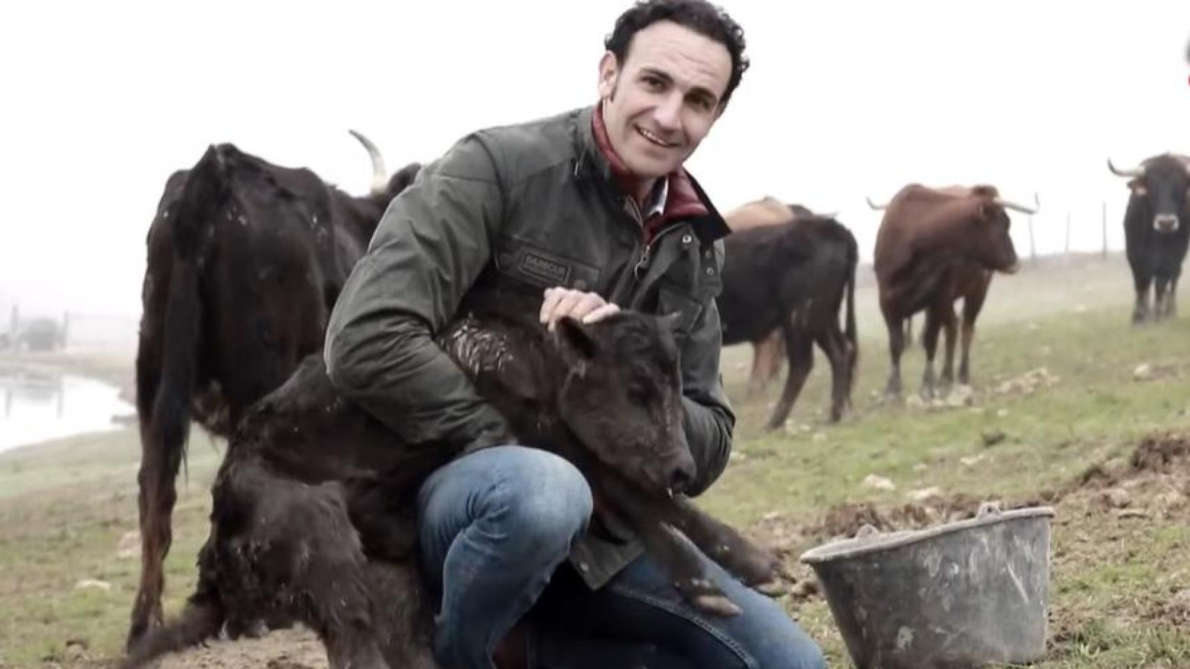 Un torero cae en una trituradora mientras trabajaba en su ganadería y sufre graves heridas en las piernas