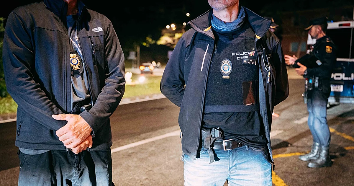 Los 'búhos' de Torremolinos: expertos en cazar a delincuentes nocturnos
