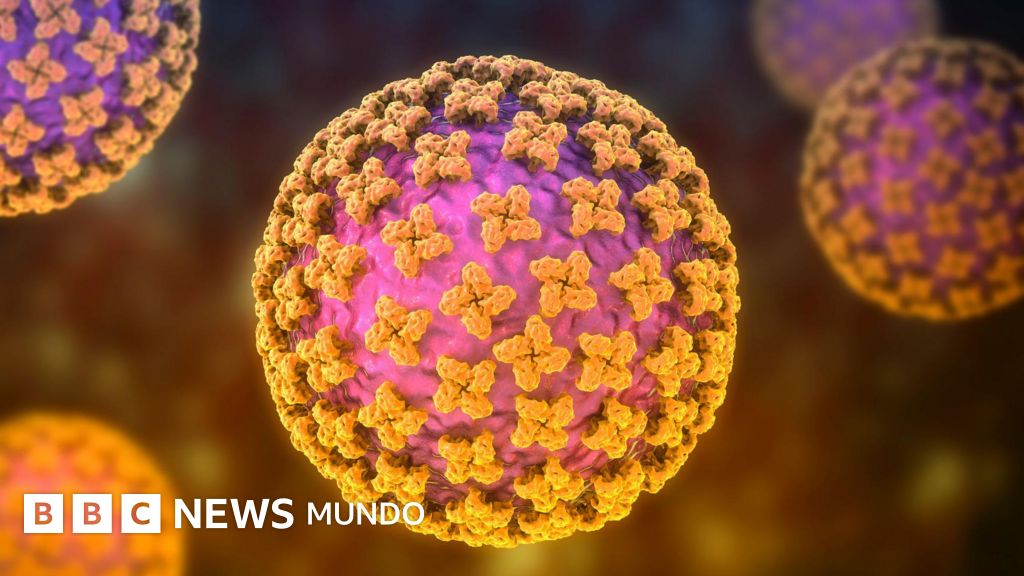 Qué es el hantavirus, la infección sospechosa de causar 3 muertes en un crucero que zarpó de Ushuaia (y cuán extendido está en Argentina)