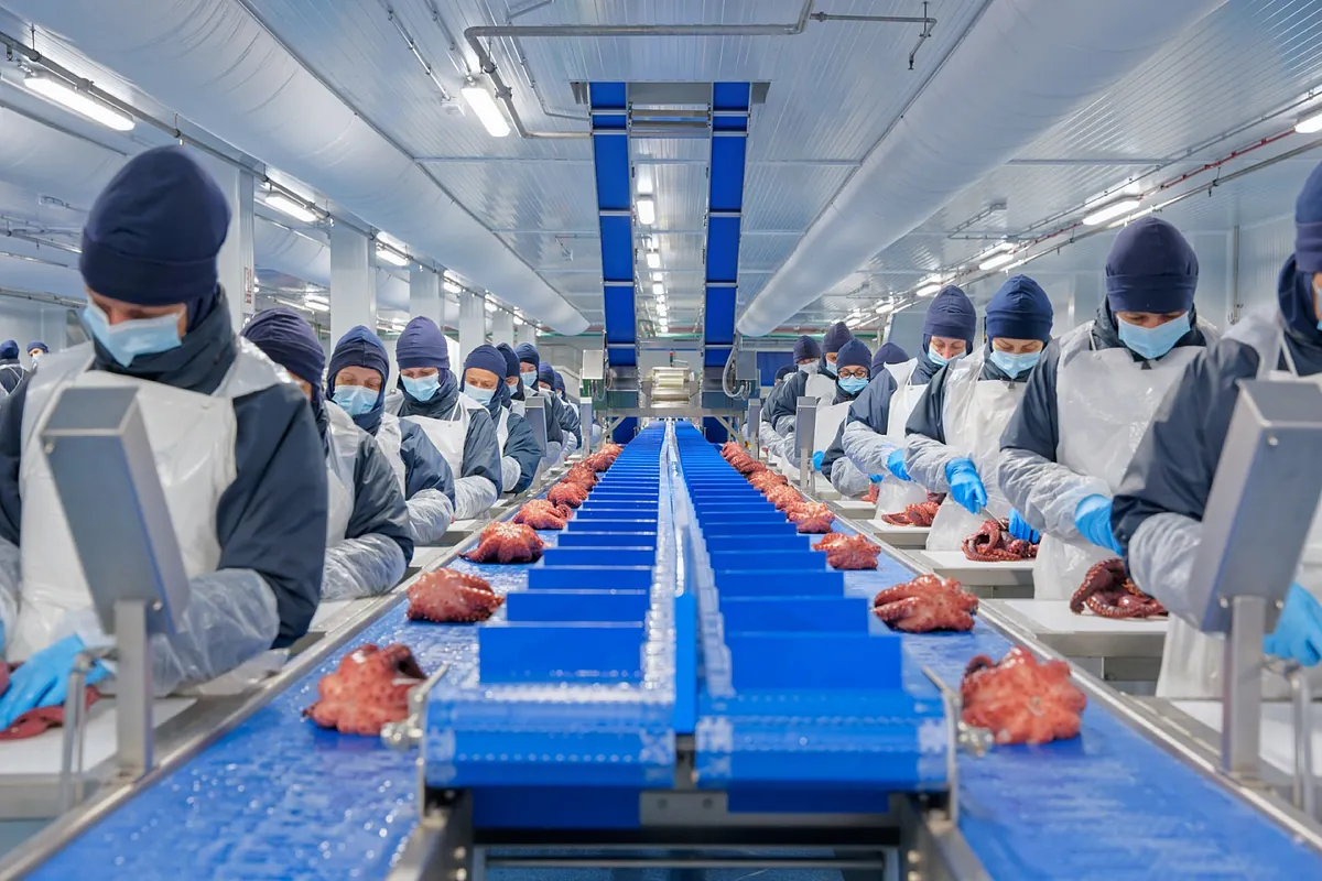 Profand acuerda una nueva compra: la canaria Unión Martín especializada en cefalópodos