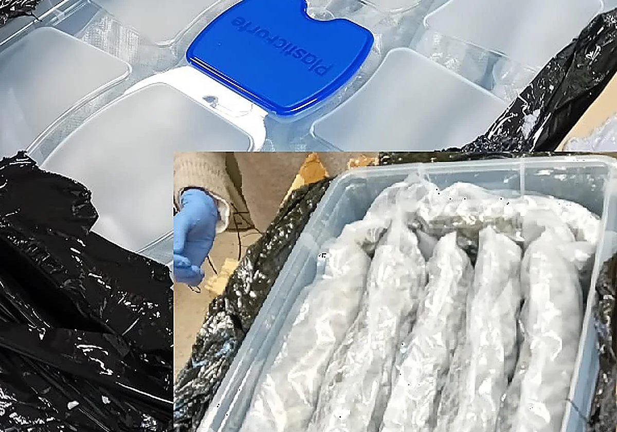 Malaga police arrest man for sending drugs through delivery company