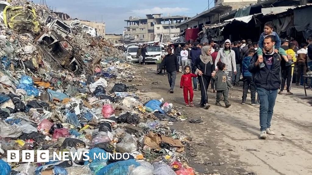 "Las ratas están saliendo de las tiendas": los campamentos de Gaza invadidos por roedores transmisores de enfermedades