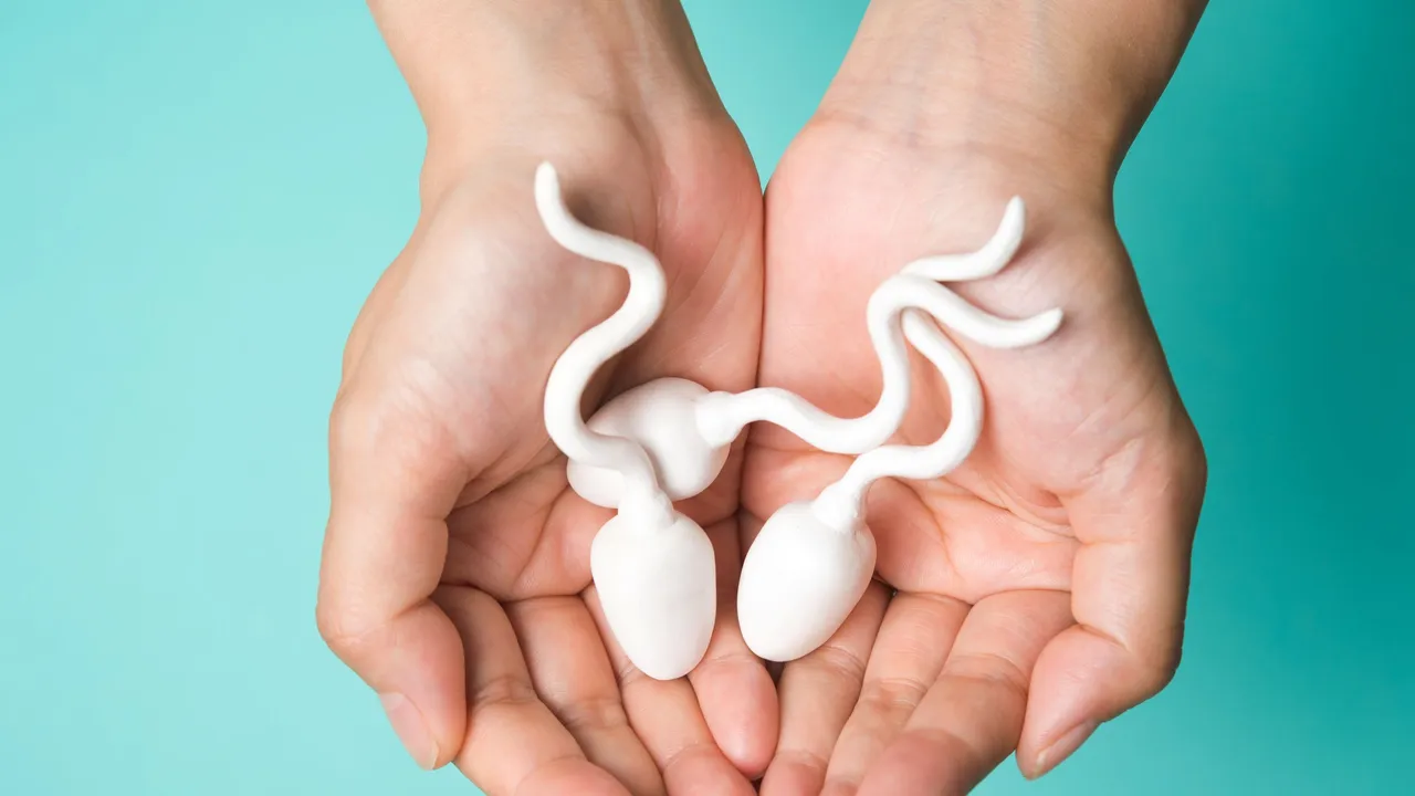 La fertilidad podría recuperarse tras el cáncer a partir de tejido testicular congelado en la infancia