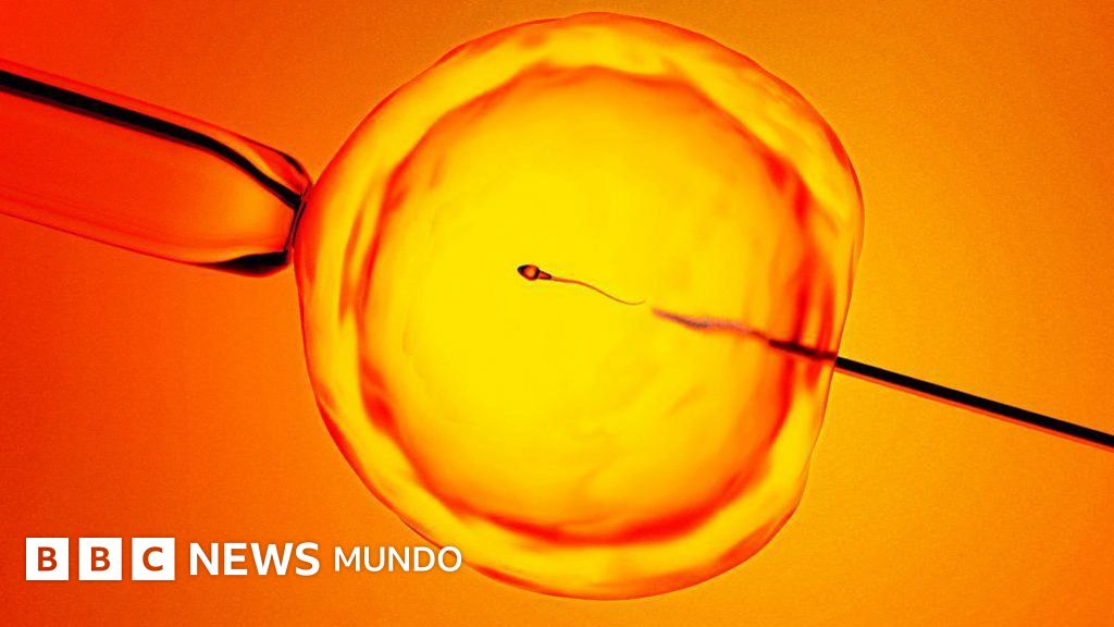 La revolucionaria técnica que ayuda a encontrar "espermatozoides ocultos" y ofrece esperanza a hombres con infertilidad