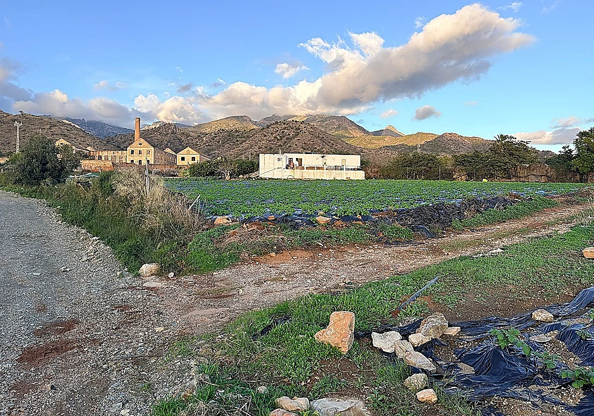 Larios terminates 400 land lease agreements on eastern Costa del Sol as plans for tourism complex advance