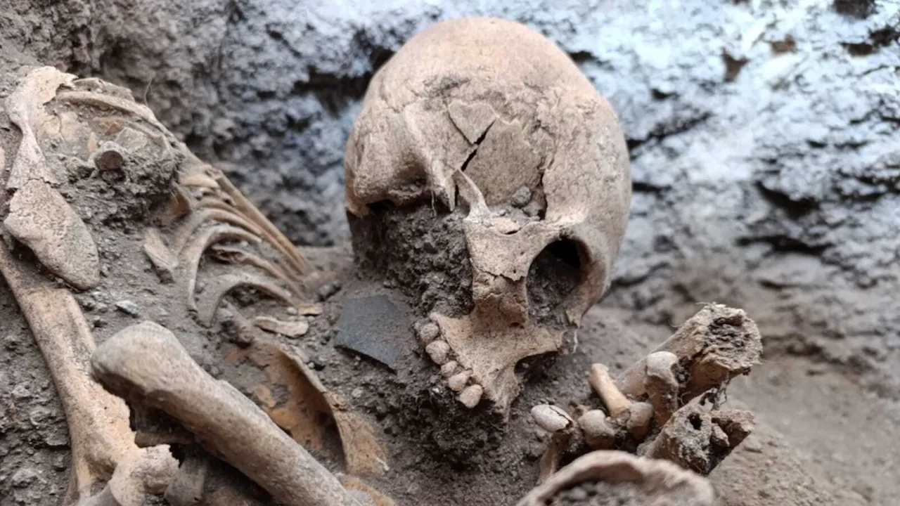 Descubren cámaras funerarias teotihuacanas bajo obras ferroviarias en Hidalgo, México