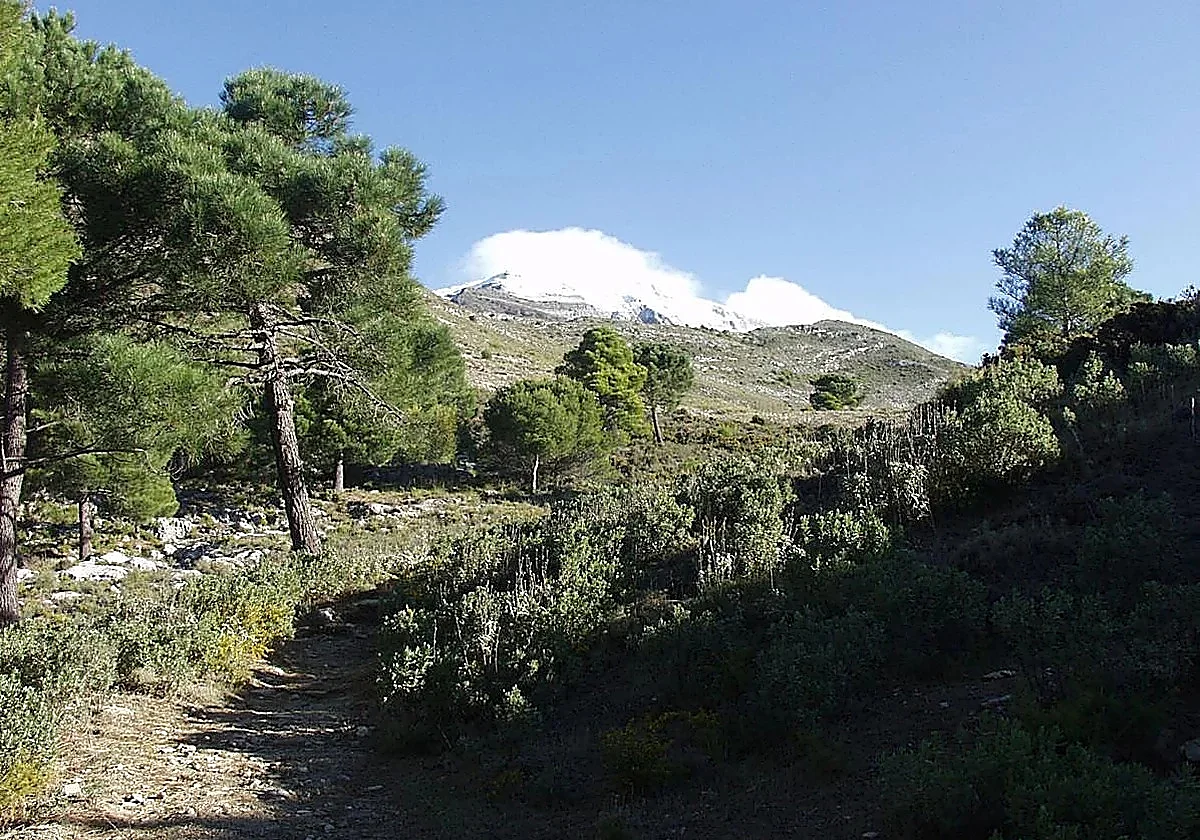 Five hiking routes across Malaga's natural parks