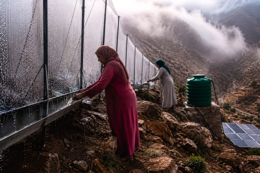 Mientras los pueblos se secan y el desierto avanza, las mujeres en Marruecos escalan las montañas para capturar la niebla y convertirla en agua potable