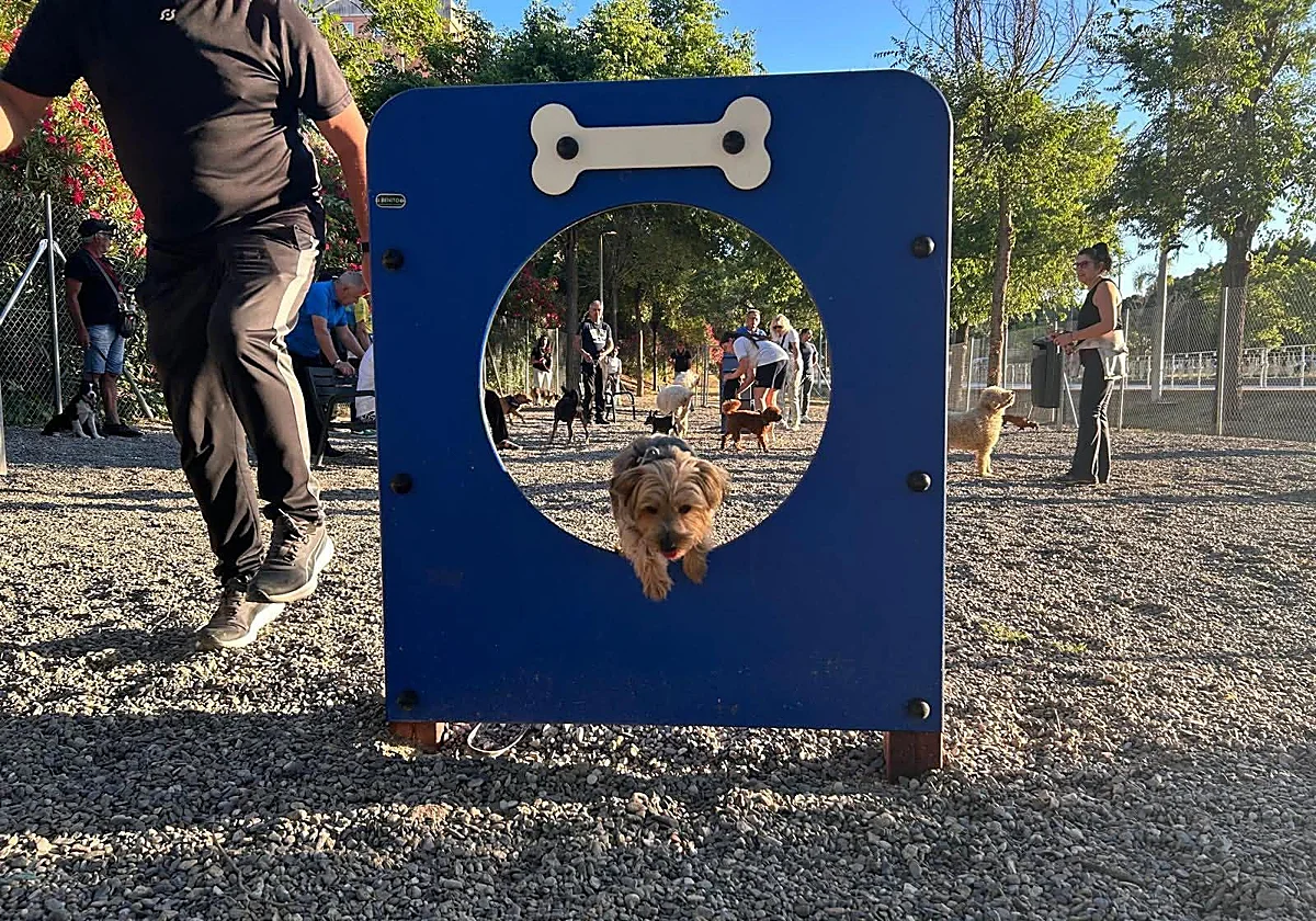 Torremolinos ya tiene siete parques caninos
