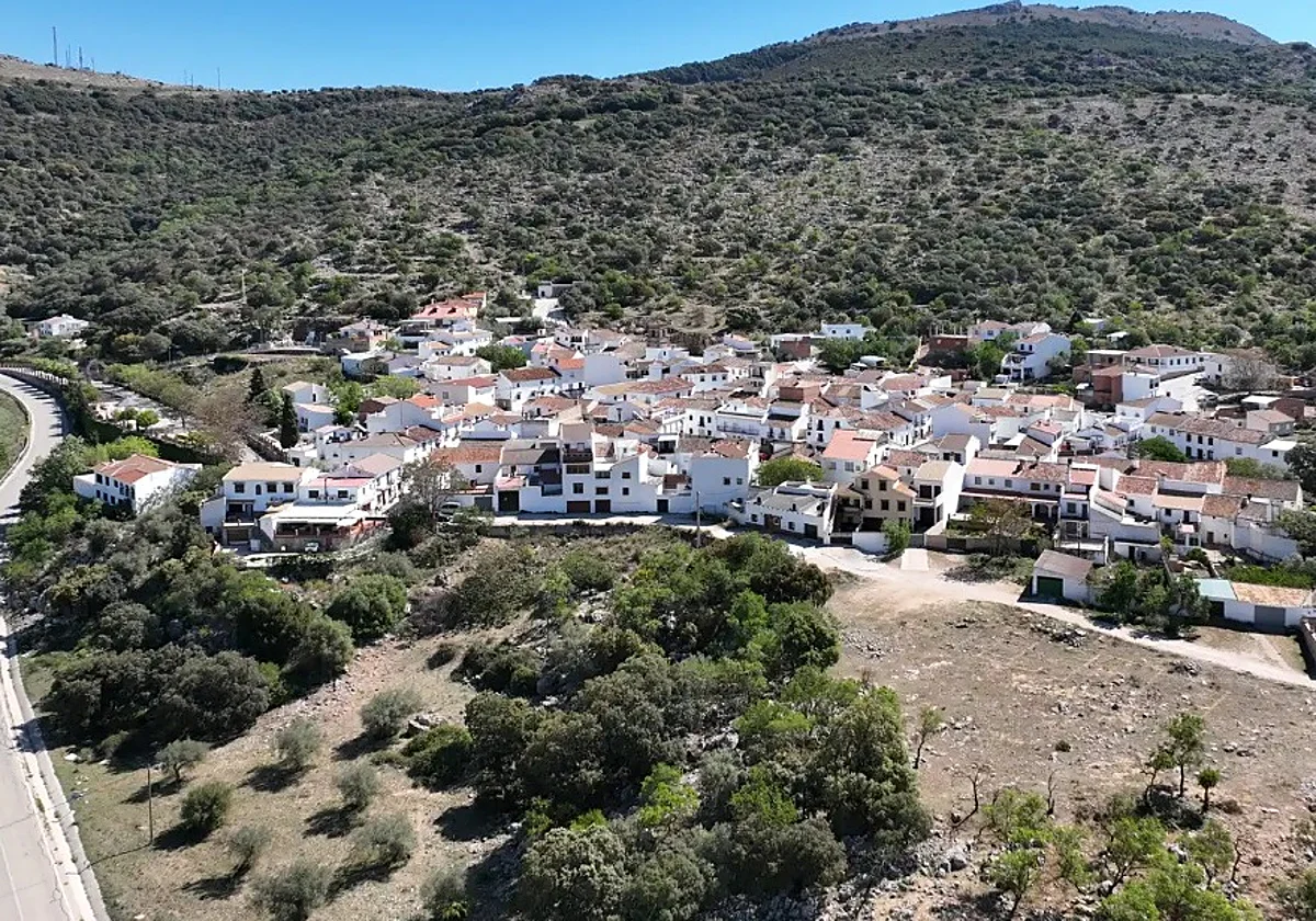 Muere en accidente laboral el padre de un concejal de Alfarnatejo