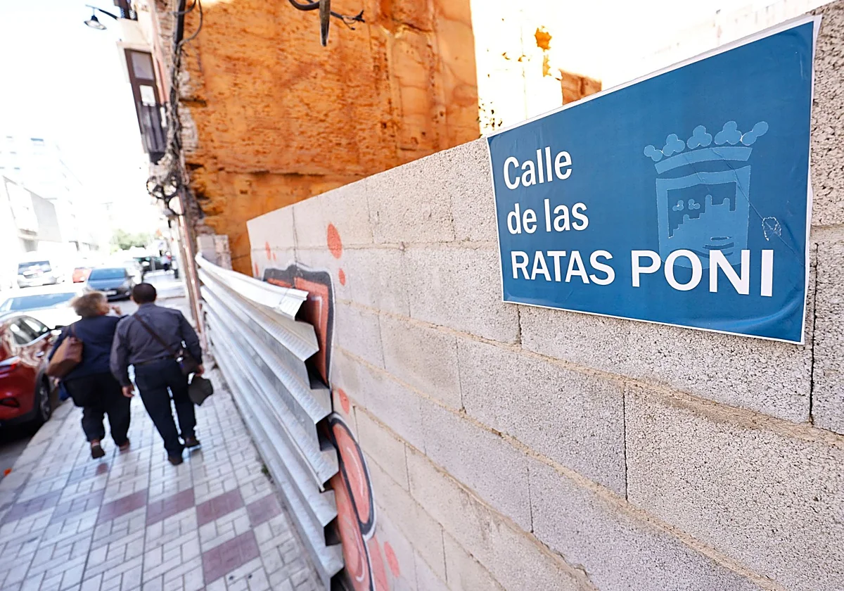 La calle de las 'ratas poni': solares abandonados y colaboración ciudadana