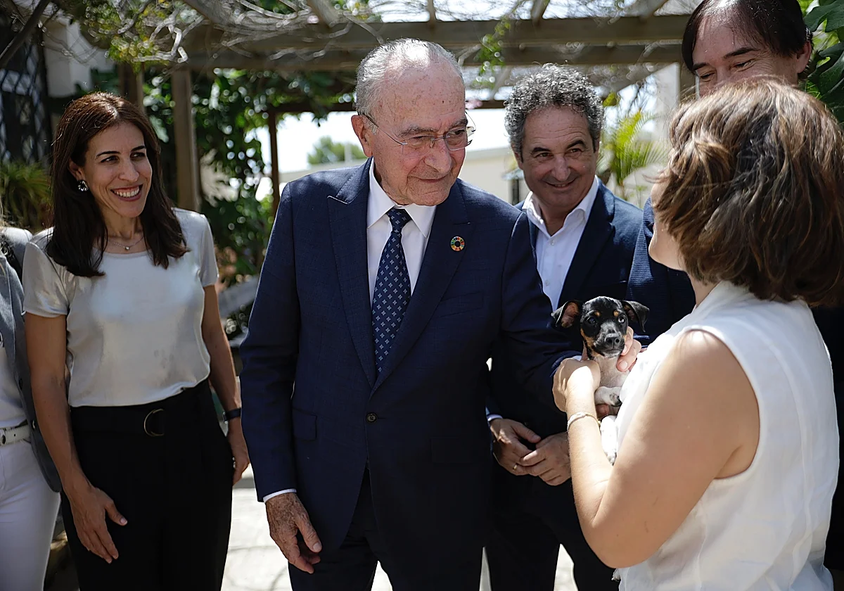 Málaga mejora el Centro de Protección Animal con urgencias, zona de hospitalización y quirófano