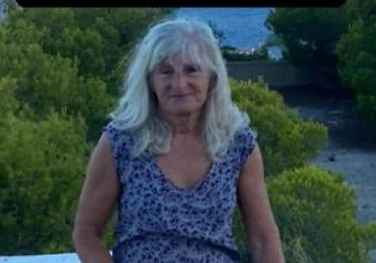 British woman missing in Valencia during road trip from Costa Blanca to UK