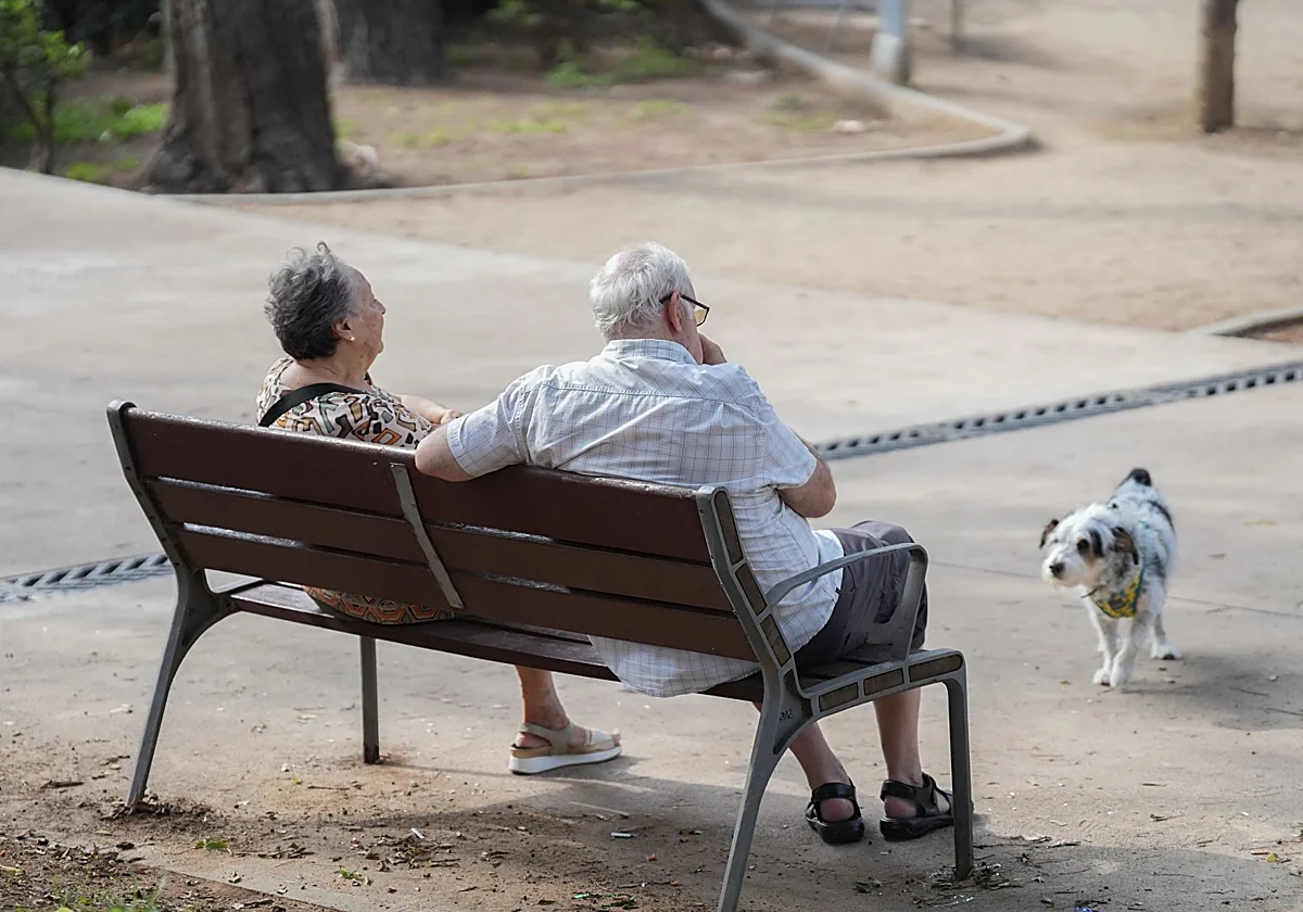 Más personas retrasan su jubilación: la edad media de acceso sube a 65,5 años, nuevo máximo