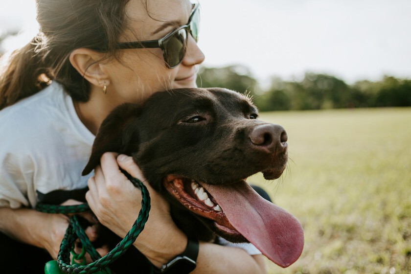Si sientes culpa cada vez que dejas a tu perro solo en casa, la ciencia tiene una explicación (y un par de soluciones)