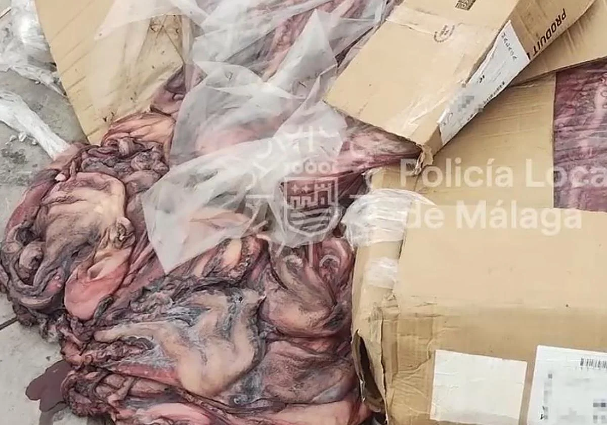 Denunciados por verter 200 kilos de pescado en mal estado en el polígono Guadalhorce