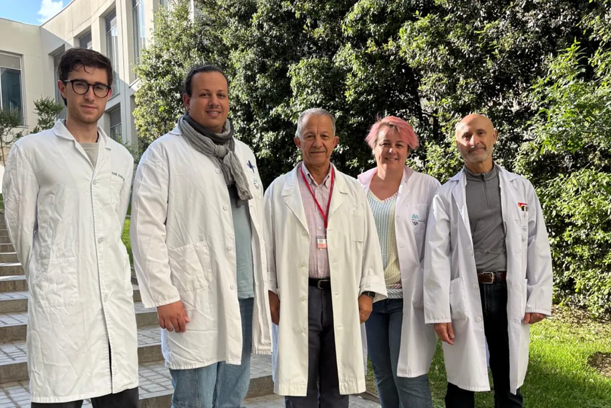 La melatonina protege contra la obesidad y la diabetes tipo 2