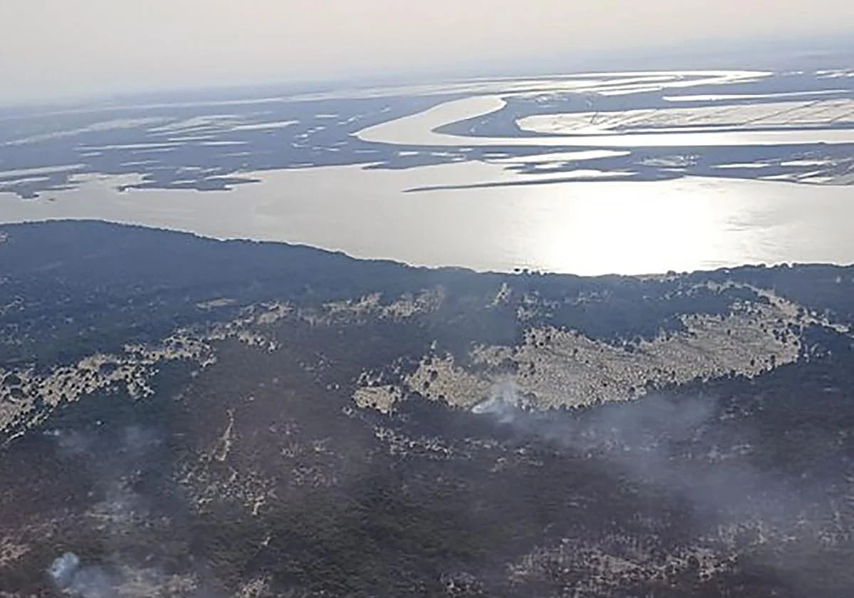 Un incendio en Doñana arrasa más de 300 hectáreas y obliga a desplegar un amplio operativo