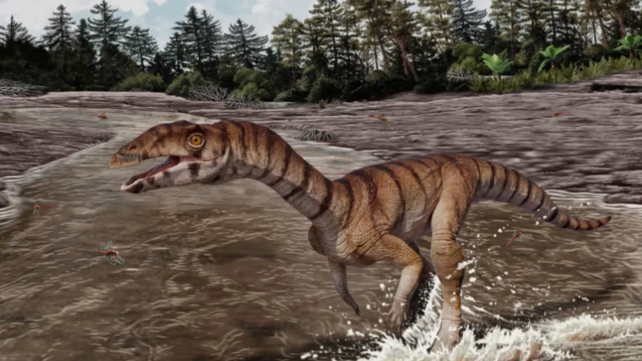 Descubren el Labrujasuchus, un extraño ancestro de los cocodrilos que caminaba en dos patas