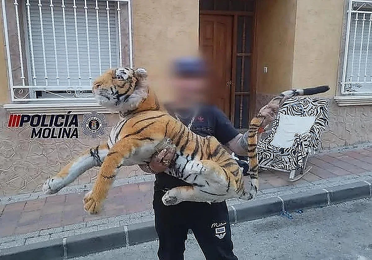 Murcia town residents startled by 'loose tiger'
