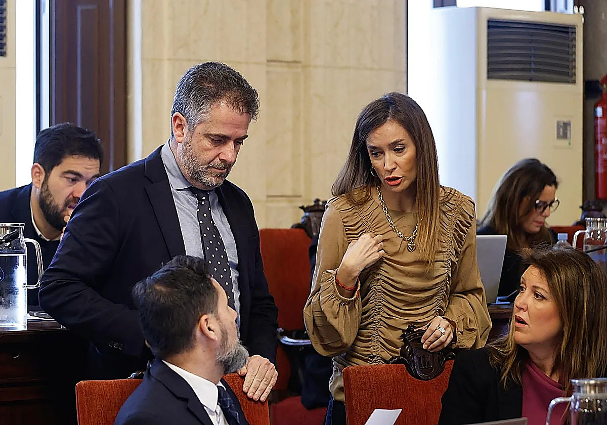 Malaga city council accuses central government of prioritising Catalonian rail services over Costa del Sol
