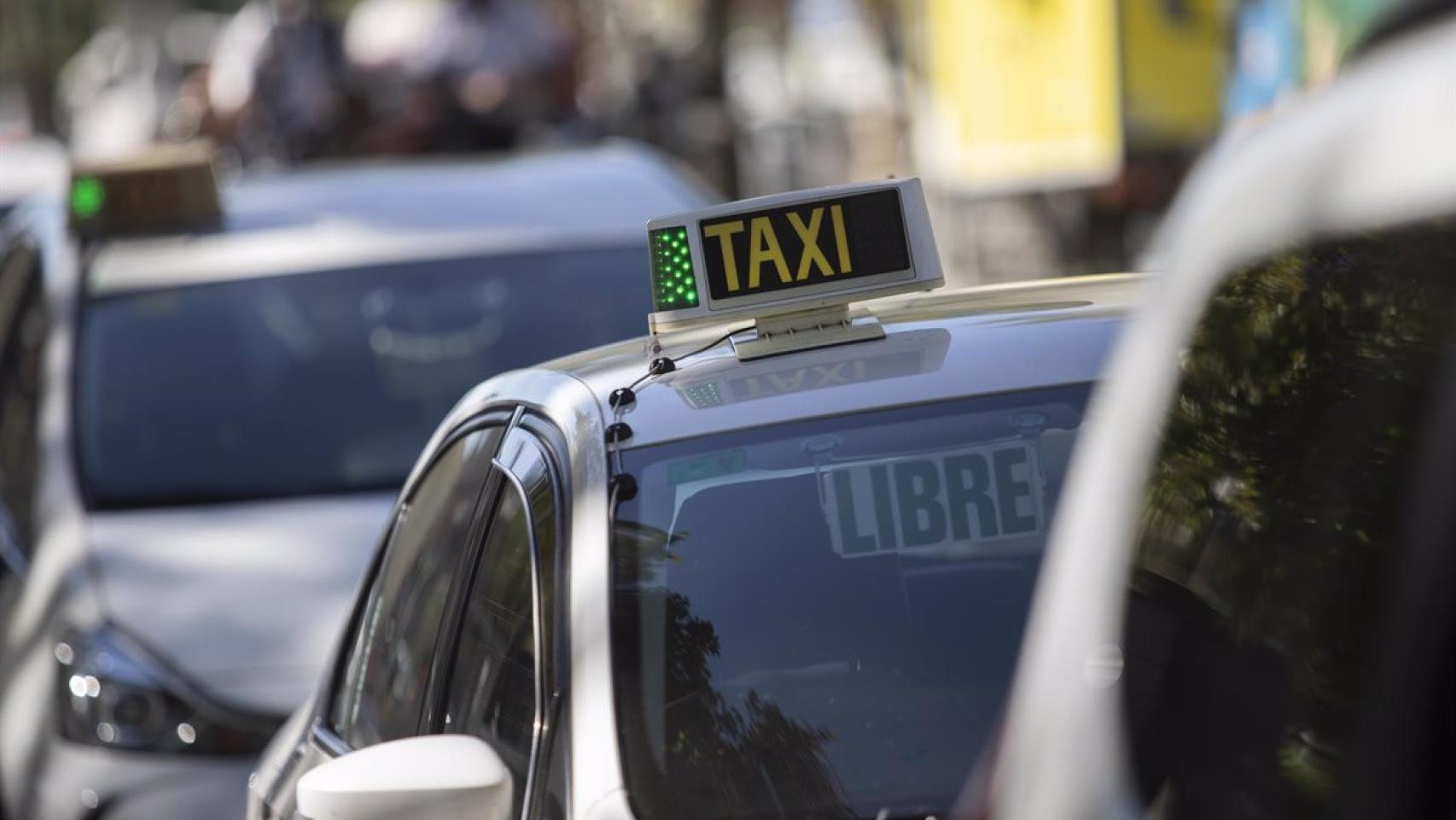Estas son las duras restricciones que Málaga fija para adjudicar las 60 nuevas licencias de taxi accesible