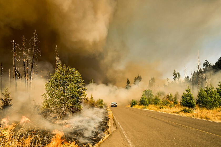 Los incendios han crecido ya un 218% en lo que va de año y aún no ha llegado el verano