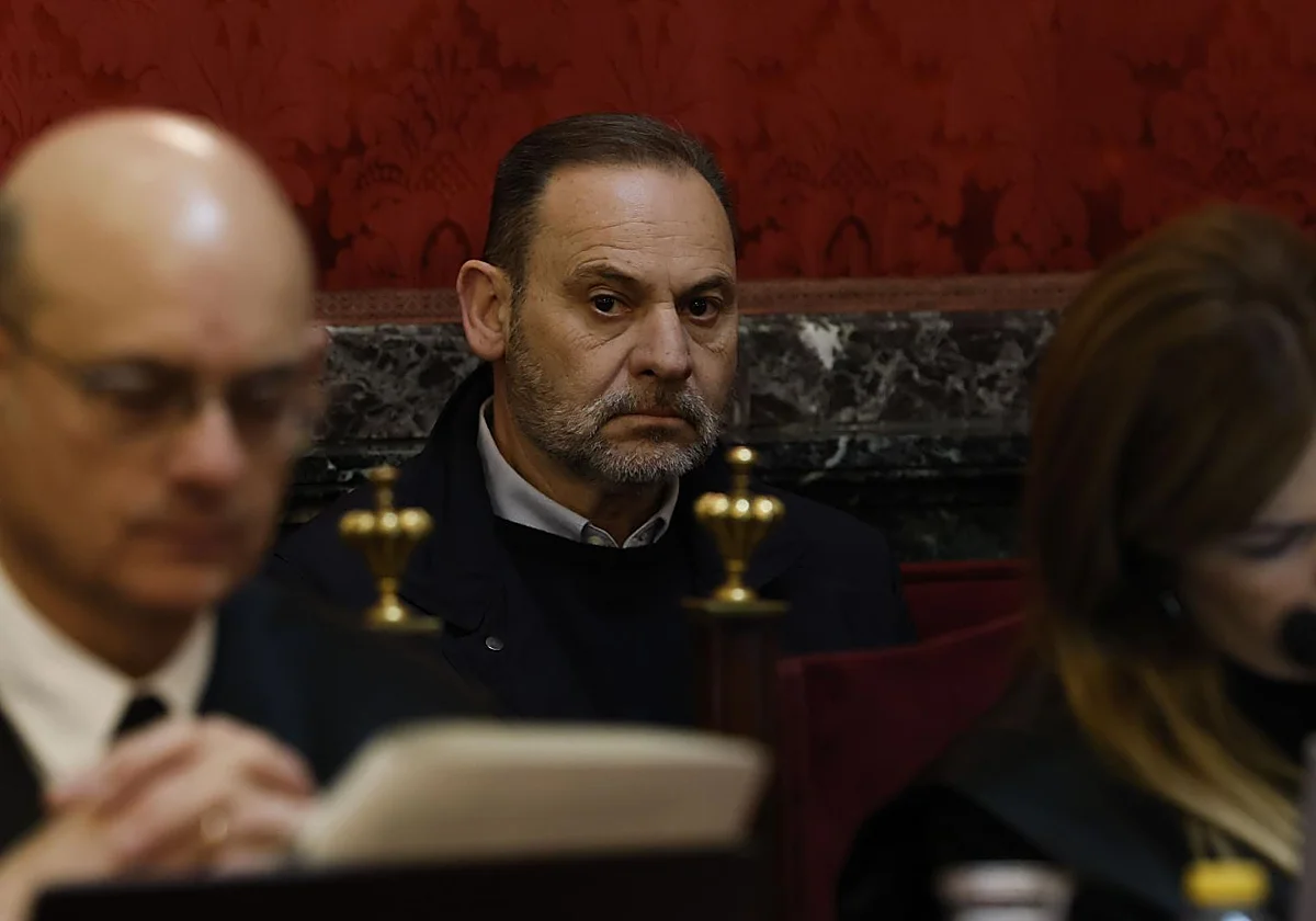 «Con Ábalos fuera se tranquilizará el tema»: la trama Plus Ultra vio como un alivio la salida del ministro