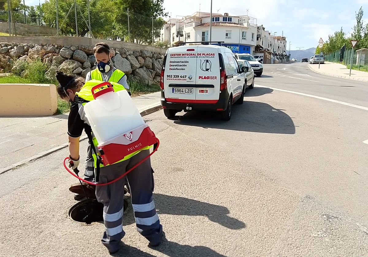 Campaña contra ratas y cucarachas en Alhaurín de la Torre