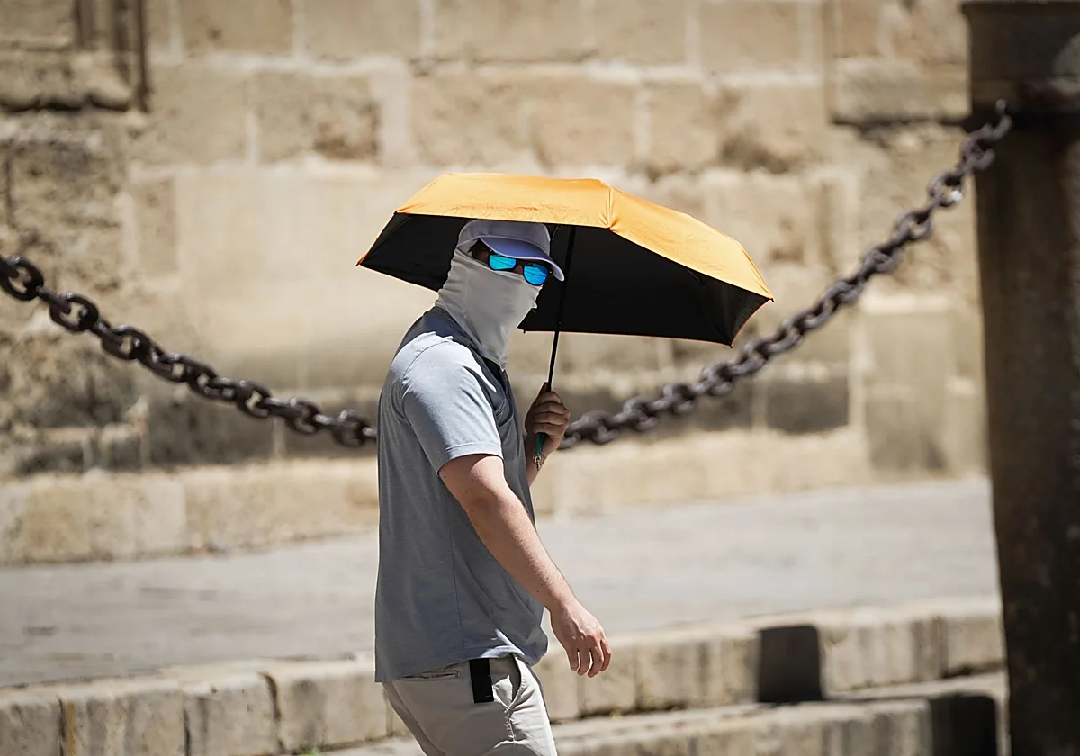 «Nos estamos acostumbrando a temperaturas de pleno verano en mayo»