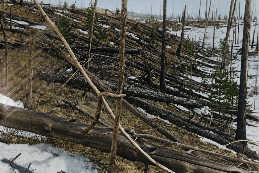 El bólido de Tunguska: la brutal explosión de 12 megatones que en 1908 nos puso frente a los horrores del espacio