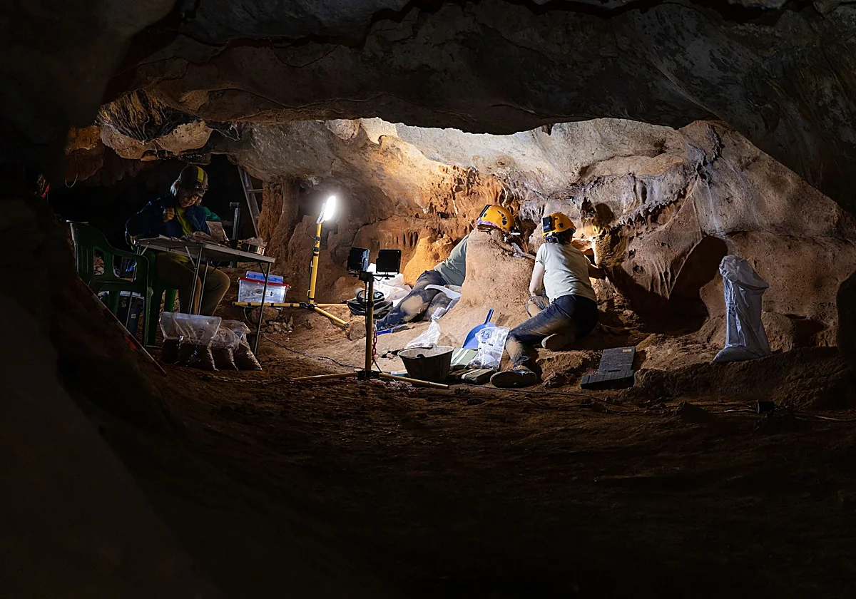 Un 'vertedero prehistórico' en la Cueva de la Victoria revela qué comían en Málaga hace miles de años