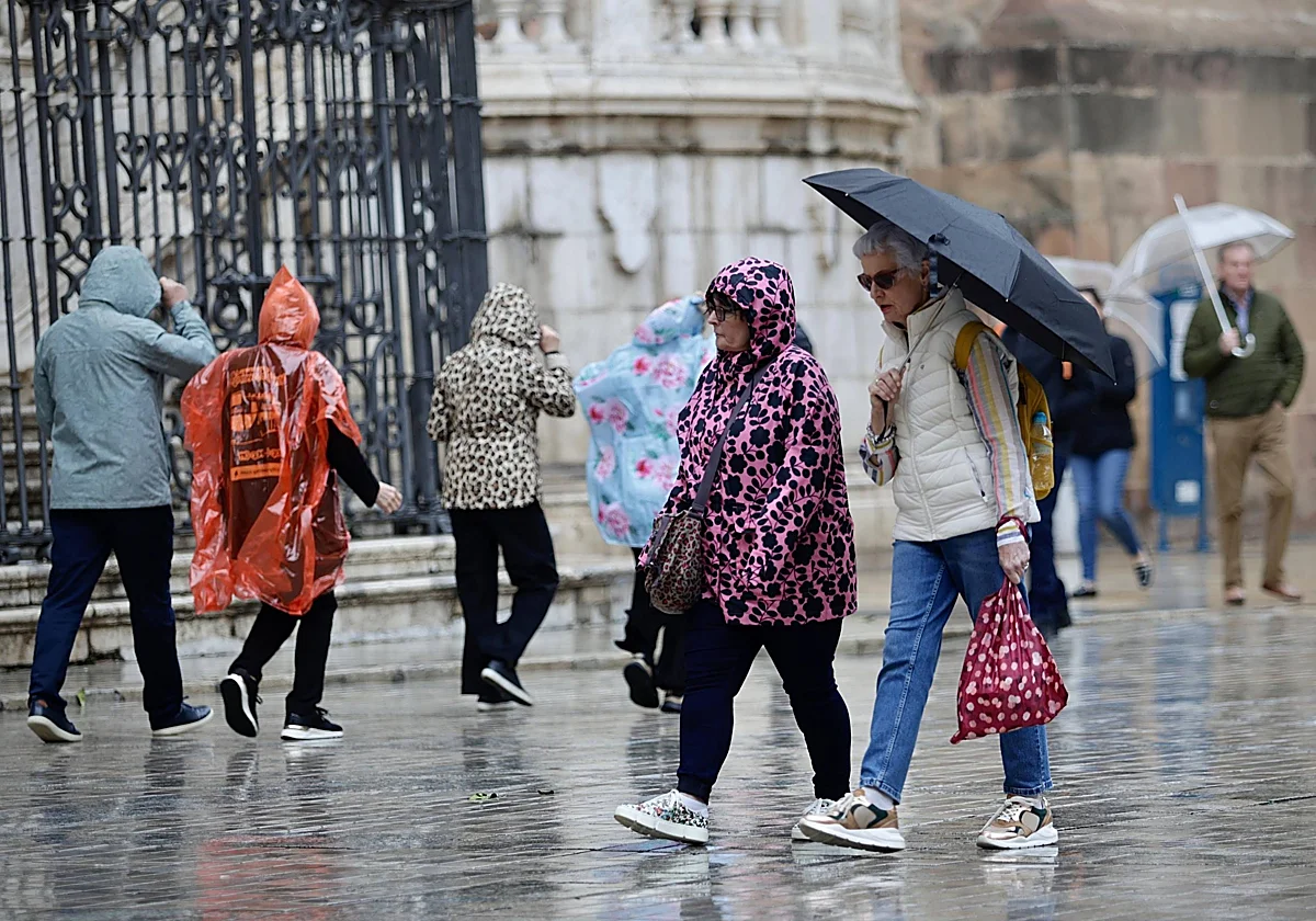Heavy rain warning activated for tonight in Malaga and along the Costa del Sol by Spain's state weather agency